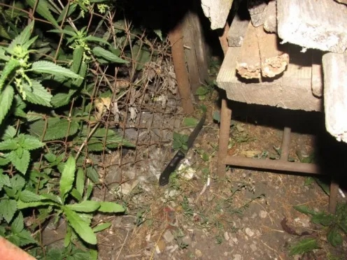 Житель Рузаевки ударил сына ножом в живот из-за отсутствия у последнего работы