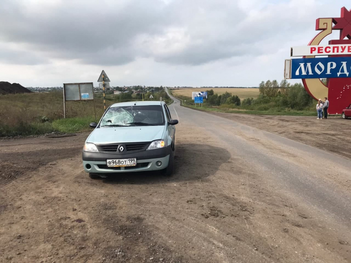 В Ардатовском районе пенсионер сбил мужчину, который ремонтировал дорогу