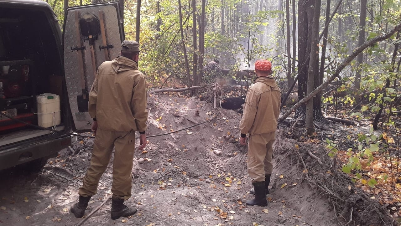 В Мордовии потушили пожар в Пурдошанском участковом лесничестве