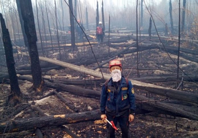 В Мордовии полностью ликвидировали лесной пожар в заповеднике