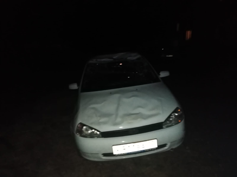 Пьяный житель Мордовии угнал у сестры «Калину» и разбил ее