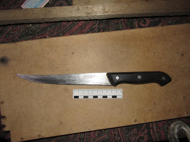 Житель Мордовии пырнул сына ножом за то, что у него нет работы