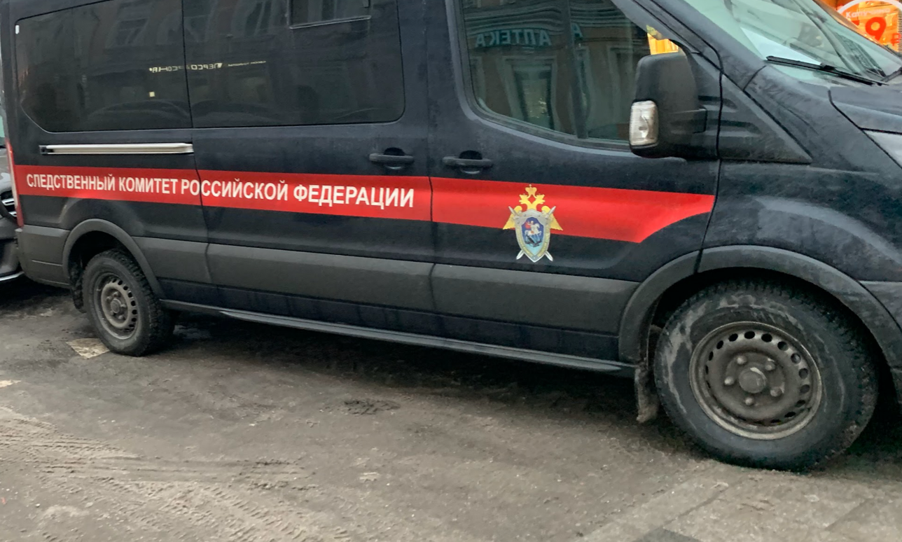 «Ударил несколько раз по голове»: в Саранске ищут мужчину, напавшего на 16-летнюю девочку