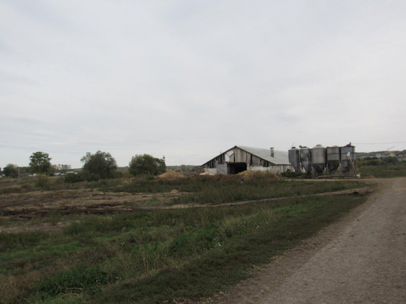 Более тонны кукурузы украл тракторист с фермы в Мордовии