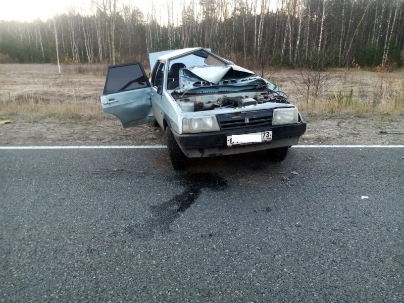 В Мордовии молодой водитель опрокинул «ВАЗ»: есть пострадавшие