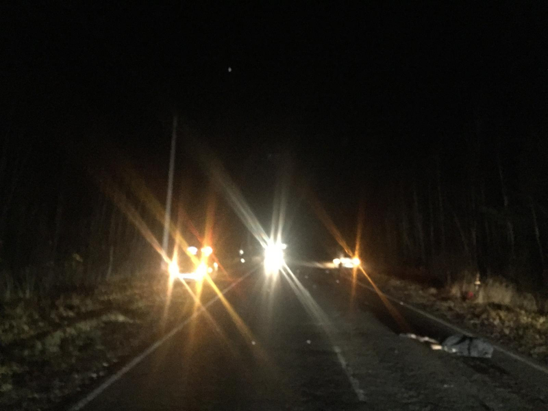 В Мордовии пешехода сбили сразу два автомобиля: мужчина погиб