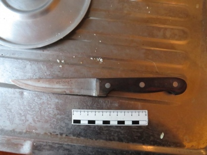 Жительница Рузаевки убила свою подругу