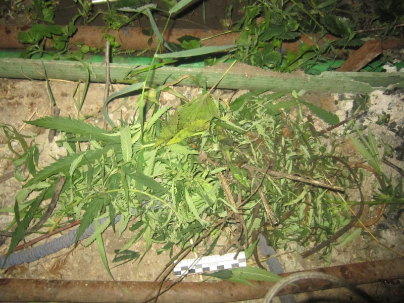 Житель Мордовии получил условный срок за хранение наркотиков