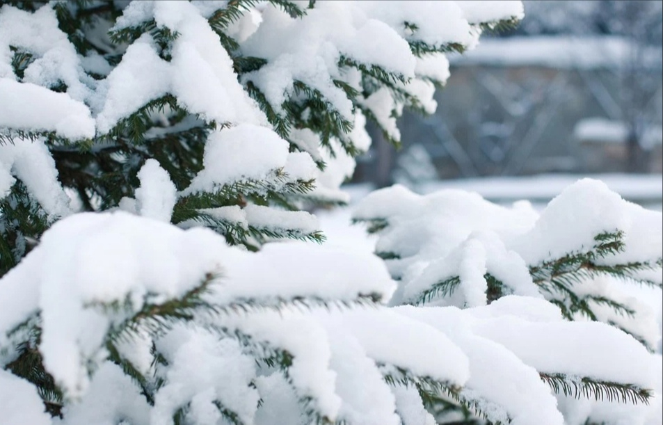 Звезды рассказали, кому сегодня повезет: гороскоп на 29 ноября для всех знаков