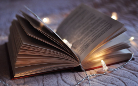 В Мордовии предпочитают фэнтези и детективы