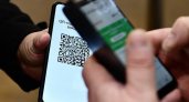 Лидеры «Новых людей» выступили против введения QR-кодов в общественных местах