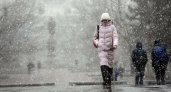 Синоптики Мордовии предупреждают о снегопаде и метели