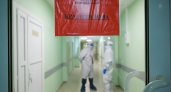 В Мордовии три женщины умерли от коронавируса