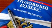 Житель Мордовии избил девушку-подростка молотком и отобрал сумку и телефон