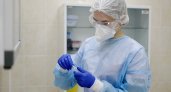 В Мордовии за сутки было зафиксировано 240 случаев COVID-19
