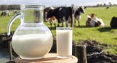 Мордовия остается в лидерах среди регионов России по надою молока