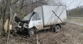 В Саранске грузовая «Газель» съехала в кювет и врезалась в дерево