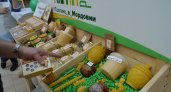 Жители Саранска тепло встретили первую мордовскую «Вкусную пятницу» Россельхозбанка