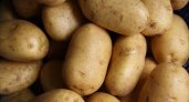 В Мордовии закончились собственные запасы картофеля 