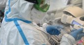 За сутки в Мордовии выявлено 12 случаев коронавируса 