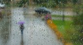 МЧС: Сильный дождь, гроза и ветер ожидаются в Мордовии