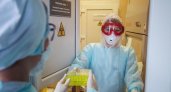 Еще 31 заболевший COVID-19 выявлен в Мордовии 