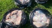 Житель Мордовии «наловил» рыбы на уголовное дело 