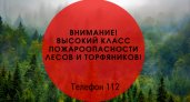В Мордовии установился 5 класс пожароопасности лесов