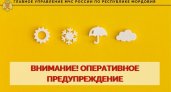 МЧС предупредило жителей Мордовии об опасном агрометеорологическом явлении
