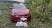 «Задержали с поличным»: 4 жителей Мордовии пытались украсть 65 кур 