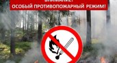 На территории Мордовии введен особый противопожарный режим: что нельзя делать?