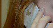 В Саранске экс-директора магазина осудили за незаконную продажу партии iPhone
