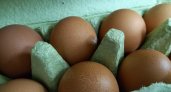 В Мордовии пошли на спад цены на яйца и курицу