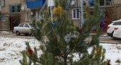 На новогодней ярмарке в Саранске жители охотней всего покупали елки и сахар