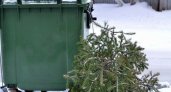 В Мордовии до конца января будут принимать на утилизацию новогодние ели