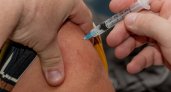 Более 400 тыс. жителей Мордовии привились от гриппа