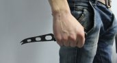 Житель Мордовии поссорился с гостем и ударил его ножом