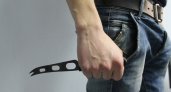 В Новый год житель Мордовии ударил гостя ножом в грудь