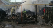 На пожаре в Мордовии погибли около 70 животных