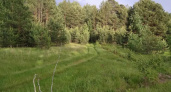 В Мордовии запретили посещать леса