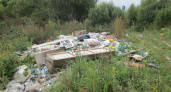 В Атюрьевском районе обнаружили несанкционированные свалки в 5 селах