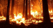 В Мордовии из-за жары ожидается высокий класс пожароопасности