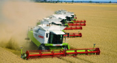 В Ардатовском районе аграрии убрали почти 90% озимой пшеницы