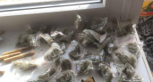 В Саранске жителя Узбекистана задержали с поличным при сбыте марихуаны