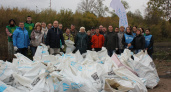 Более 200 человек участвовало в уборке берега реки Саранки