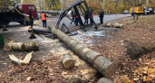 В Саранске аварийные бригады занимаются устранением рухнувших из-за ветра деревьев
