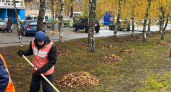 В Саранске продолжают очищать улицы от опавшей листвы и аварийных деревьев
