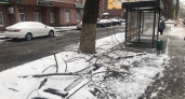 Жители Саранска пожаловались на сваленные у остановки ветки деревьев