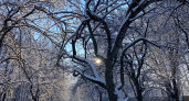 Синоптики Мордовии рассказали о снеге и порывистом ветре в начале недели