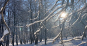 28 ноября в Мордовии ожидается снег и до -9